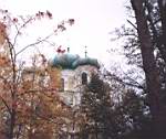 Павловский собор. Купола. Фото 2002 г.