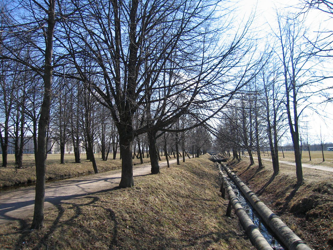 Петербург и окрестности - Пригороды Петербурга: ПЕТЕРГОФ. КОЛОНИСТСКИЙ  ПАРК, СРЕДНИЙ ПЕТЕРГОФ